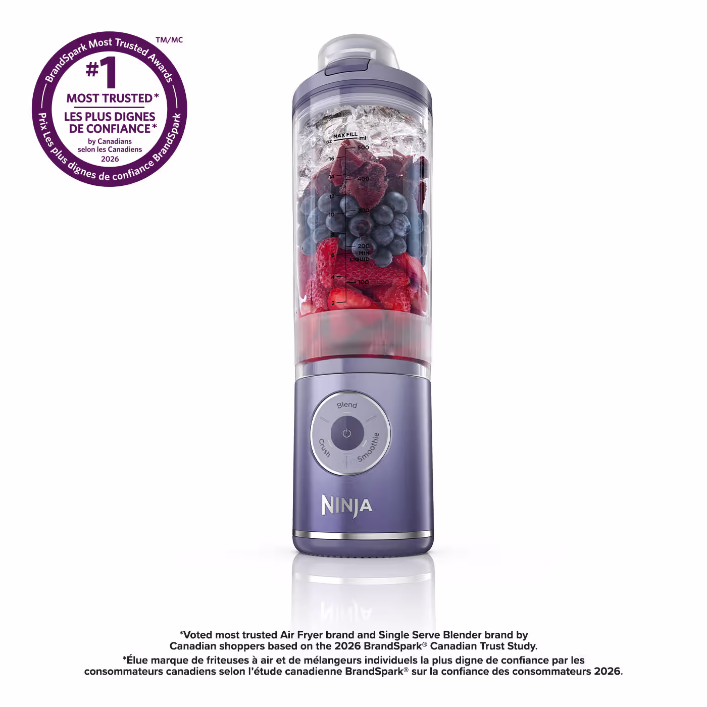 Ninja Blast Max Cordless Portable Blender Lavender, 22 oz — Catalog Product