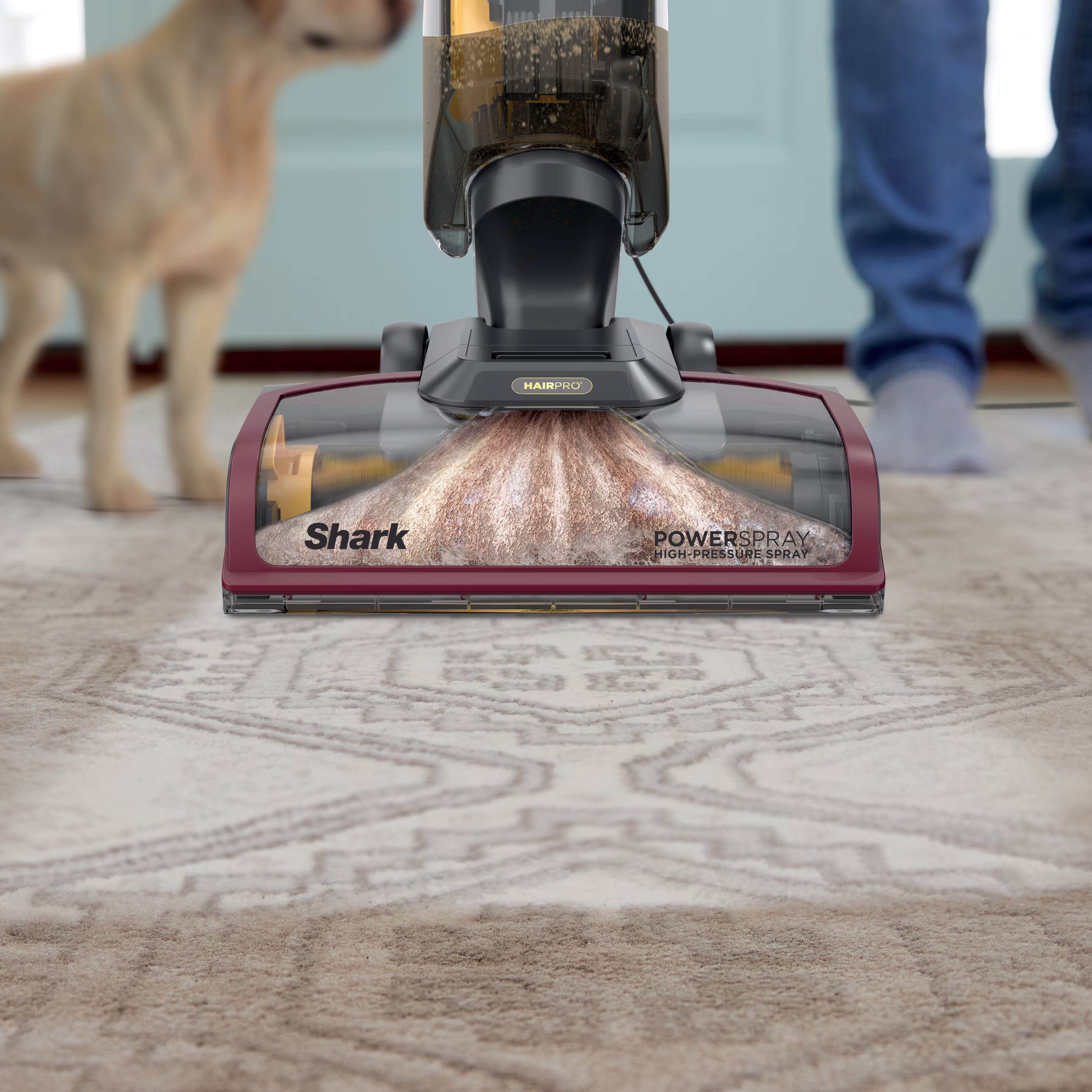 Shark CarpetXpert HairPro — Catalog Product - Image 2